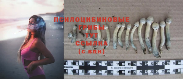 твердый Алексеевка