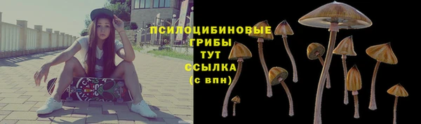 твердый Алексеевка