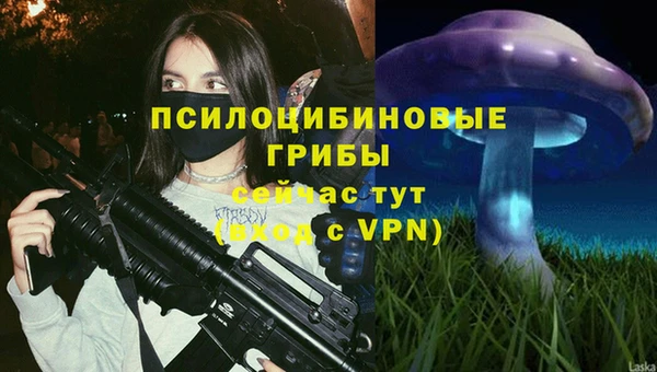 дмт Алзамай