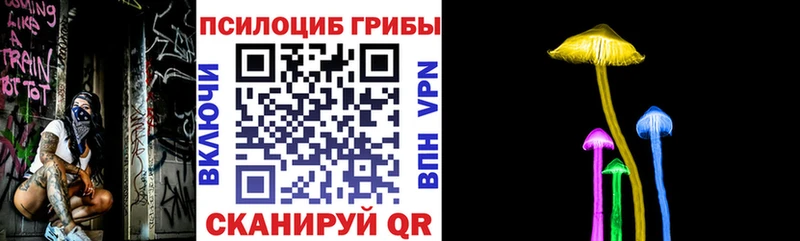 Галлюциногенные грибы Psilocybine cubensis  Грайворон 